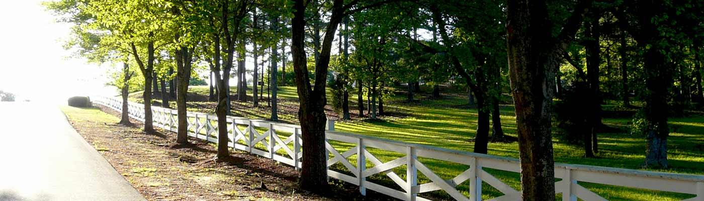 Country Living